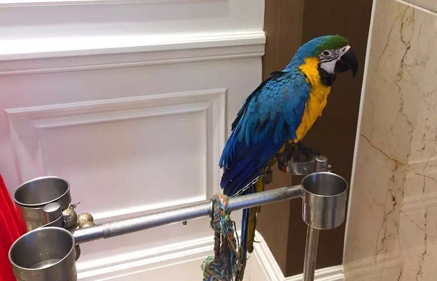 ʷȵĄ@ȷ˽һfS