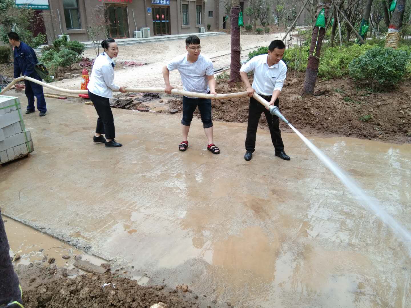 I(y)Nķ(w)С^(q)Ȼһ